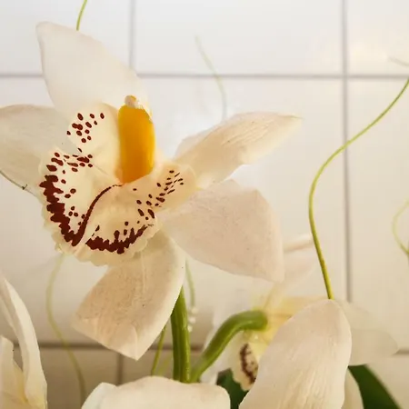 Anita アパート *